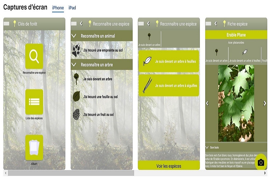 ecrans_ios_cles-de-foret.jpg