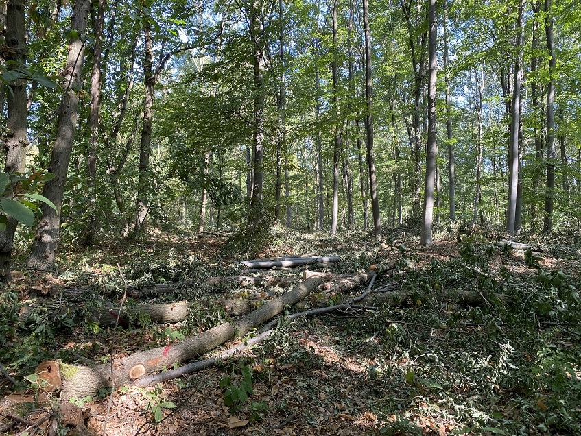 parc_picardie_110820_2web.jpg