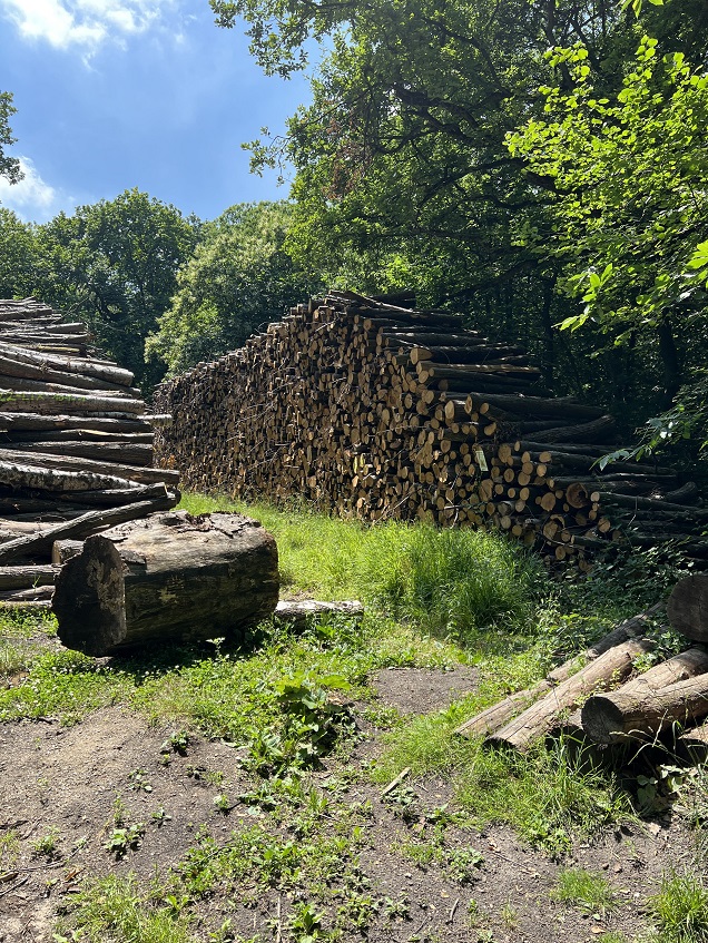 20220621_foret-fr_versailles_web.jpg